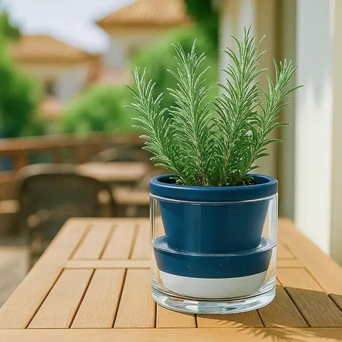 D'vine Dev 6 Inch Design Self Watering Planter for Indoor Plants, Blue Terracotta Pot with Cylinder Glass Cup, Set of 2, 37-Y-B-4 by GreenHaven Gardens