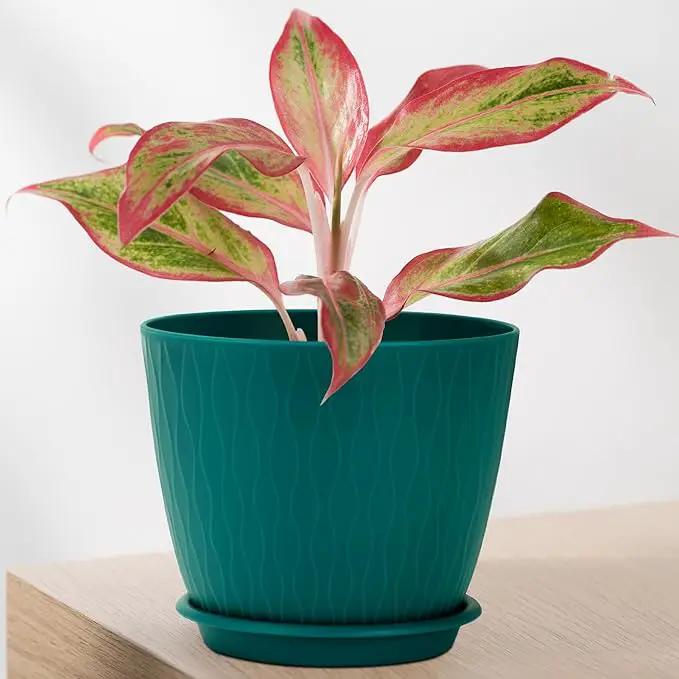 Plant Pots – 6 Inch Planters with Drainage Holes and Saucers, Flower Pots for Indoor and Outdoor Plants, Nursery Planting Pots (Pack of 5, Teal) by GreenHaven Gardens