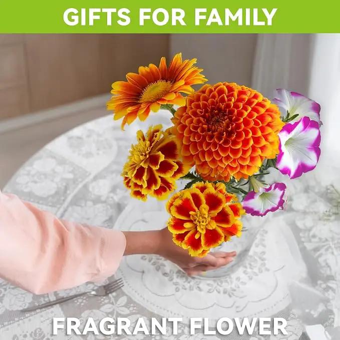 inbloom Fragrant Bouquet Seed Pod Kit for AeroGarden, iDoo, Ahopegarden, GARDENCUBE, 7 Pods (350+ Flower Seeds with Sunflower, Petunia, Mexican Marigold, Cockscomb, French Marigold, Dahlia) by GreenHaven Gardens