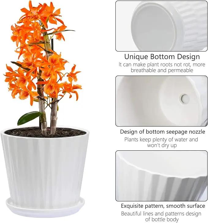 Plant Pots - 6.7 Inch Cylinder Ceramic Planters with Connected Saucer, Pots for Succuelnt and Little Snake Plants, Set of 2, White by GreenHaven Gardens