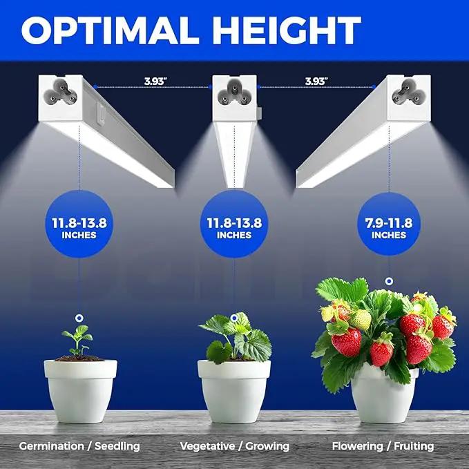 Barrina Grow Lights for Indoor Plants, 5000K White Full Spectrum Led Grow Light, 1ft Plant Grow Light, LED Grow Light, T5 Grow Light Strip, Plug and Play, 8-Pack by GreenHaven Gardens