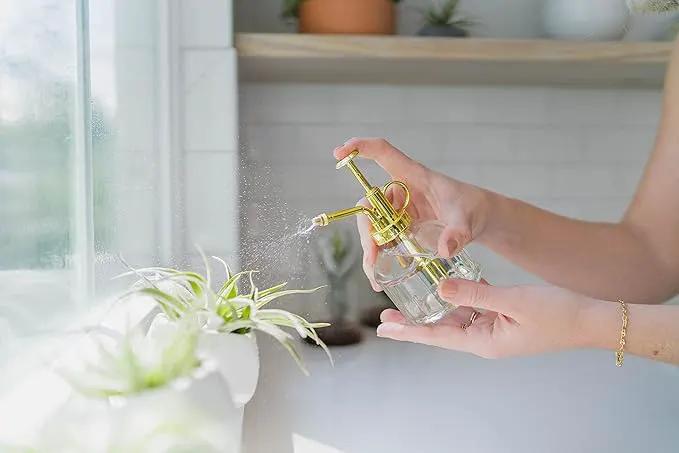 30 Pack Air Plants Assorted Tillandsia Ionantha - Live Succulent House Plants - Available in Wholesale and Bulk - Home and Garden Decor - Easy Care Indoor and Outdoor Plants by GreenHaven Gardens