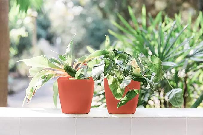 GARDENIX DECOR 5" Self Watering pots for Indoor Plants - Flower Pot with Water Level Indicator for Plants, Grow Tracking Tool - Self Watering Planter Plant Pot – 2 Pack Terracota by GreenHaven Gardens