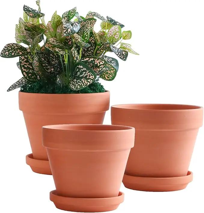 Yishang 8 Inch Clay Pot for Plant with Saucer - 3 Pack Large Terra Cotta Plant Pot with Drainage Hole, Clay Planters Pot, Terracotta Pot for Indoor Outdoor Plant,Round Flower Planter Pots for Plants by GreenHaven Gardens