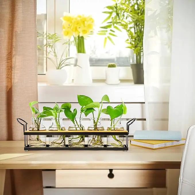 THYGIFTREE Plant Propagation Stations with Metal Stand, Tabletop Plant Terrarium for Propagating Hydroponic, Retro Glass Planter Flower Vase Home Kitchen Office Decor, Plant Lover Gifts, 5 Jars by GreenHaven Gardens