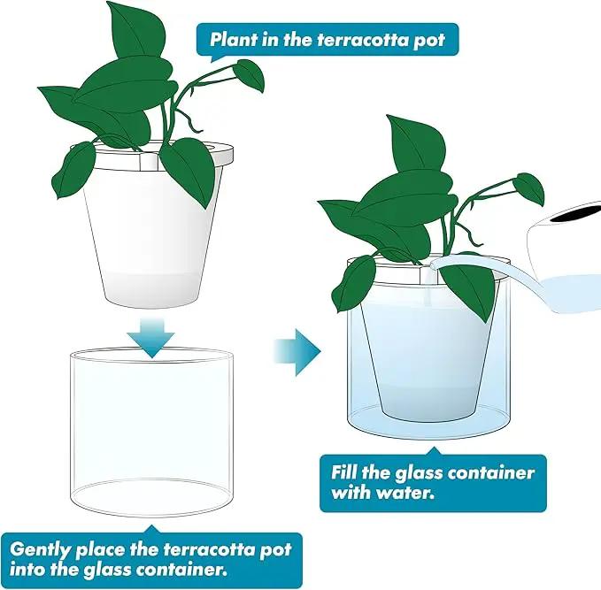 D'vine Dev 8 Inch Design Self Watering Planter for Indoor Plants, White Terracotta Pots with Cylinder Glass Cup, 37-X-C-2 by GreenHaven Gardens