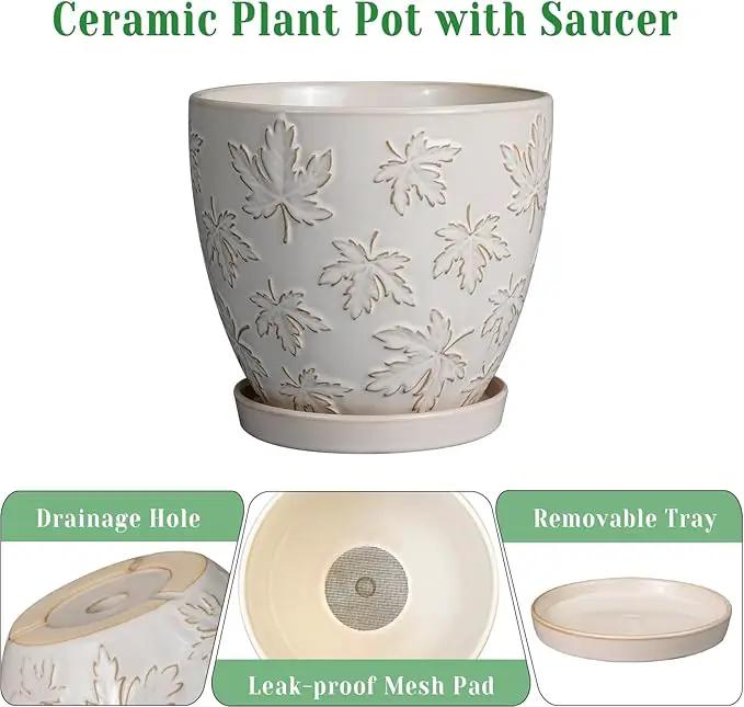 Ceramic Plant Pot 6 Inch - Ceramic Planter with Drainage Hole and Saucer Round Planter Flower Pot for Indoor Plants Outdoor Home Garden Office Decor White by GreenHaven Gardens