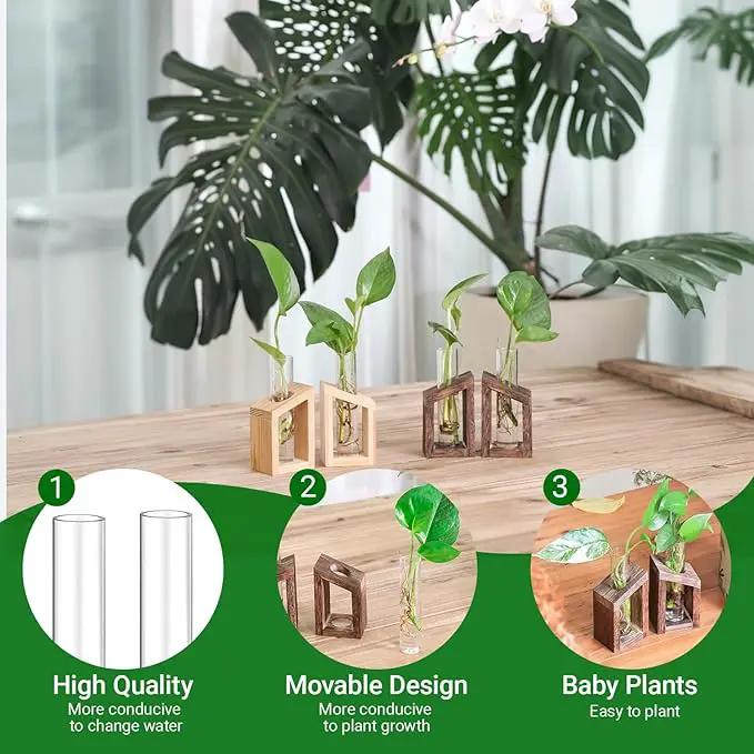 Ivolador Test Tube Propagation Stations Pothos Planter Terrarium Container Perfect for Propagating Hydroponic Plants Home Office Garden Decor Wedding -2 PCS by GreenHaven Gardens
