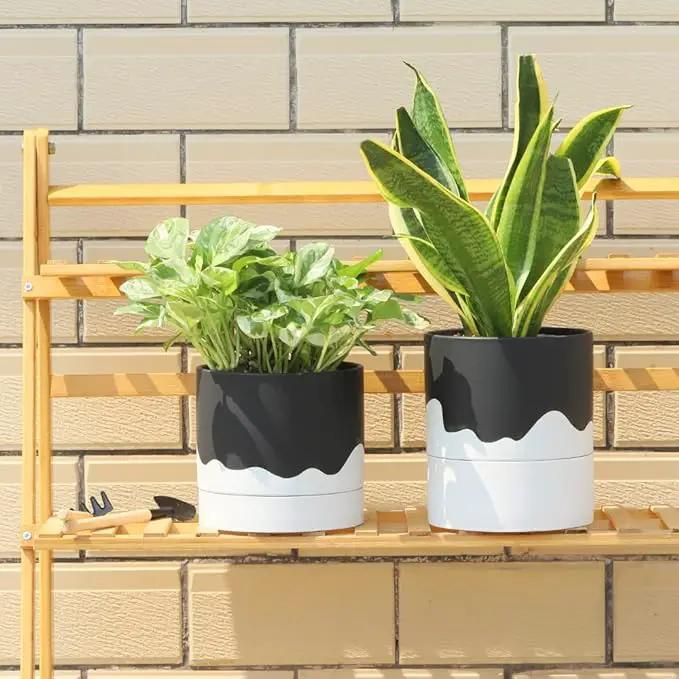 Nihow Self Watering Plant Pot: 6 Inch Ceramic Planter with Drainage Hole & Water Storage Plus for Indoor & Outdoor Plants - Cylinder Round Flower Pot for Succulent/Herbs/Violets - Black & Wave White by GreenHaven Gardens