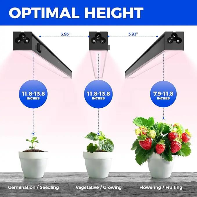 Barrina 1ft Grow Lights for Indoor Plants Full Spectrum, LED Grow Lamp with Black Cover, T5 Grow Light Strip, Under Cabinet Grow Light with Switch Cord, Plug and Play, Linkable, Pinkish White, 4 Packs by GreenHaven Gardens
