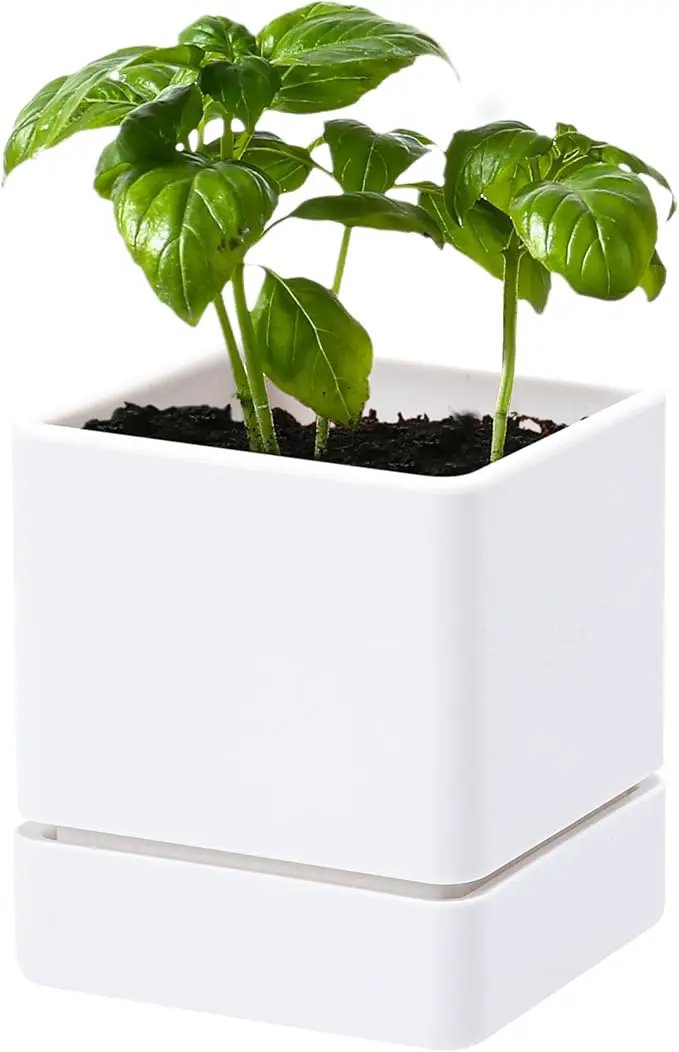 4 Inch Herb Planter Pot, Plastic Planter with Drainage Holes and Saucer, Modern Decorative Gardening Pot for Indoor Plants, Flowers, Herbs, Succulents, White, Set of 1, 76-Y-A-1 by GreenHaven Gardens