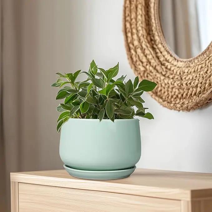 G EPGardening Ceramic Pots for Plants - 9 Inch Ceramic Planter with Drainage and Saucer, Round Planter for Indoor Outdoor Plants, Modern Flower Pots, Garden Decor, Birthday Gifts, Green by GreenHaven Gardens