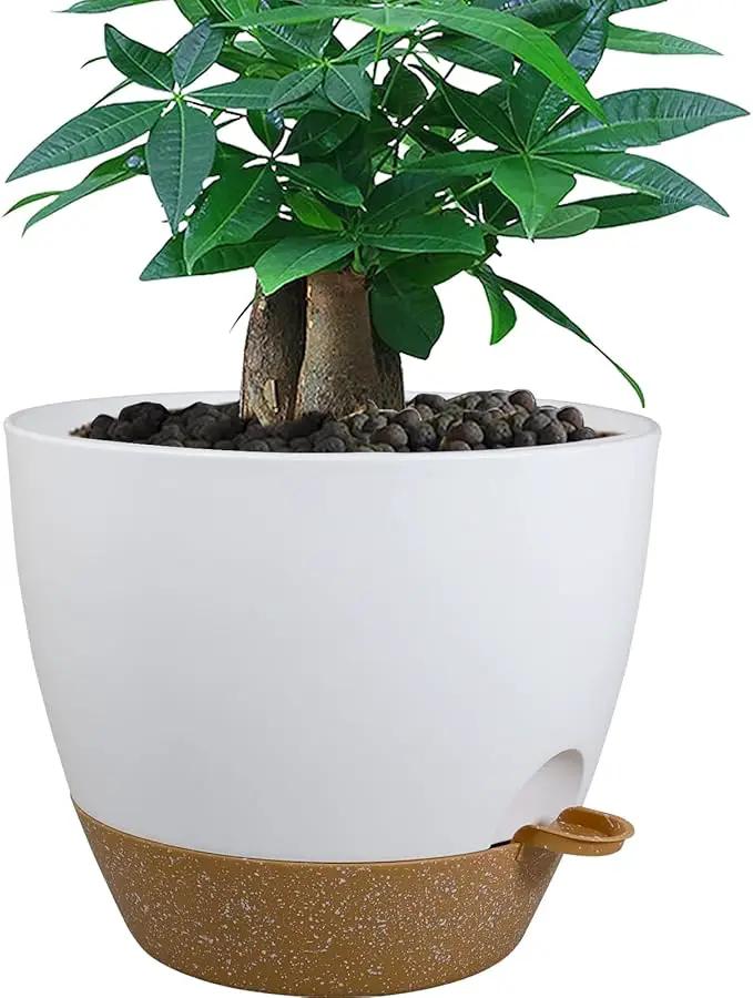 12 inch Large Self Watering Pots, Plastic Planters with 60oZ Removable Deep Reservoir and Multi Mesh Drainage Holes for Indoor Outdoor Garden Plants and Flowers, White with Brown by GreenHaven Gardens