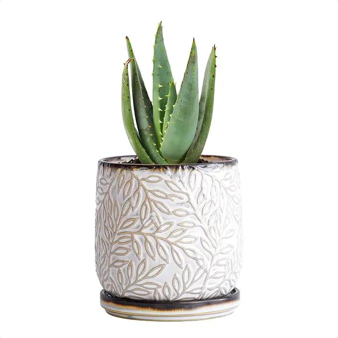 D'vine Dev 4 Inch Embossed Leaves Stoneware Planter Pot with Drainage Hole and Saucer, Smoked White, Set of 1, 27-A-Z-1 by GreenHaven Gardens