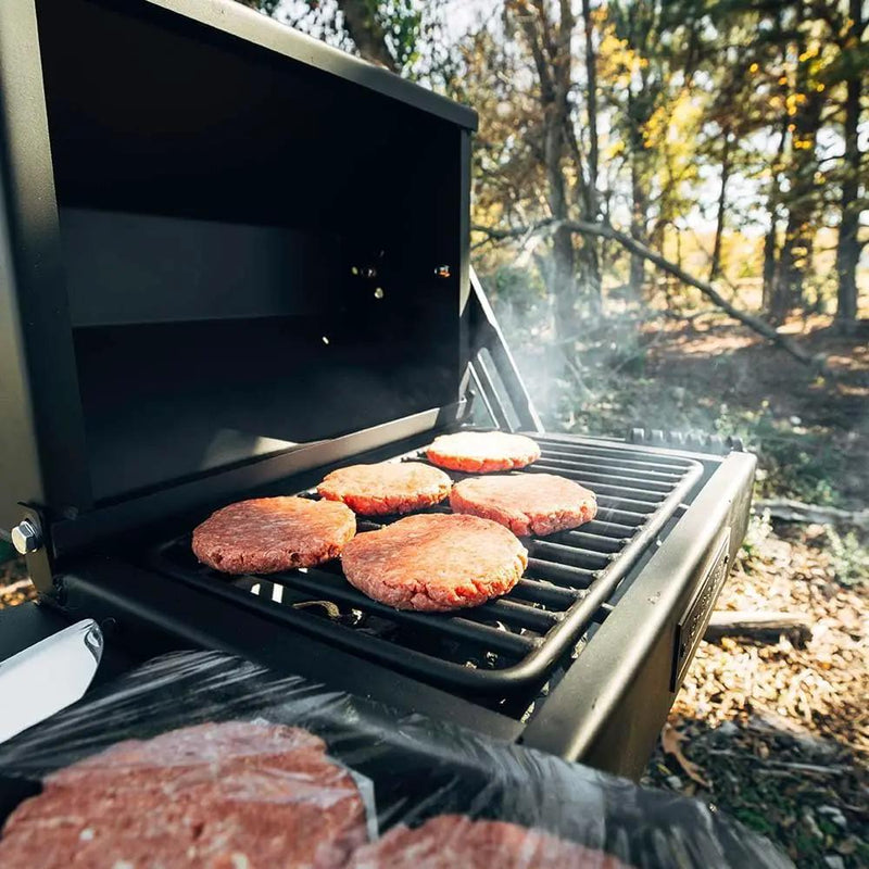 Ash & Ember Park-Style Grill/Smoker, 260 Sq In Charcoal Grill with Cover, 17.5"x11.5" Grate, Side Shelf for Food Prep, Single Post Permanent Park-Style Grill for Outdoor Backyard BBQ by GreenHaven Gardens