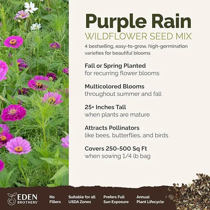 Eden Brothers Purple Rain Flower Mixed Seeds for Planting, 1/4 lb, 120,000+ Seeds with Zinnia Purple Prince & Violet Queen, Cosmos, Attracts Pollinators, Plant in Spring, Zones 3, 4, 5, 6, 7, 8, 9, 10 by GreenHaven Gardens