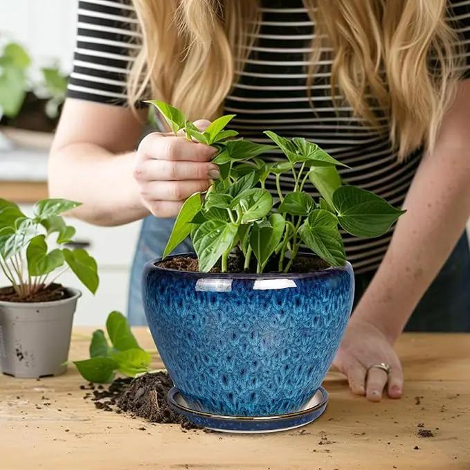 8 Inch Ceramic Plant Pot, Ceramic Planter Pot for Indoor Outdoor Plants, Round Flower Pot with Drainage Hole and Saucer, Blue by GreenHaven Gardens