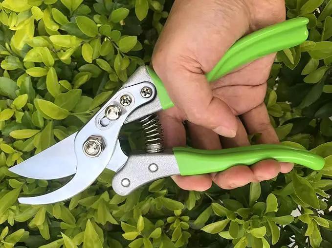 Garden Shears, Japanese Pruning Shears for Heavy Duty, Flowers Herbs Grapes Plant and Branch Cutters, Clippers, Trimmers, Scissors (Green) by GreenHaven Gardens