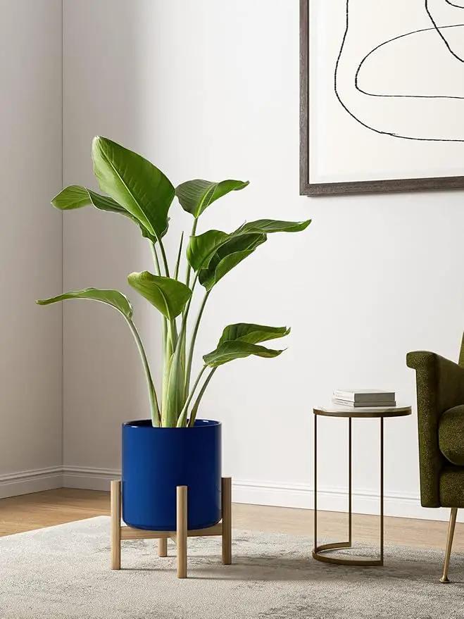 LE TAUCI Large Plant Pots Set, 10/8/6 Inch Ceramic Planters for Indoor Plants, Mid-Century Modern Flower Planter Pots with Drainage Hole and Plug, Cylinder Round Planter Pots, Set of 3, Sapphire Blue by GreenHaven Gardens