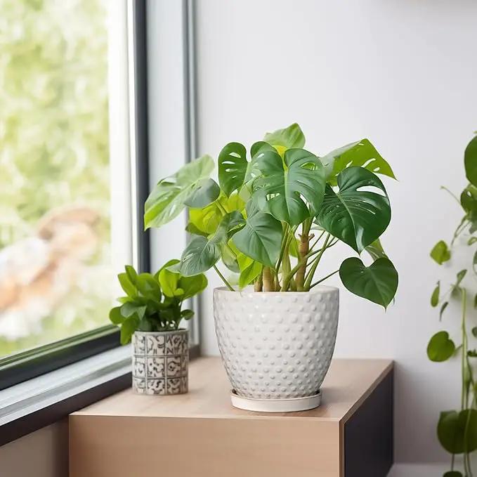 G EPGardening 6 Inch Ceramic Plant Pot with Drainage Hole and Saucer Round Planter Decorative Flower Plant Pot for Indoor Plants Outdoor White by GreenHaven Gardens