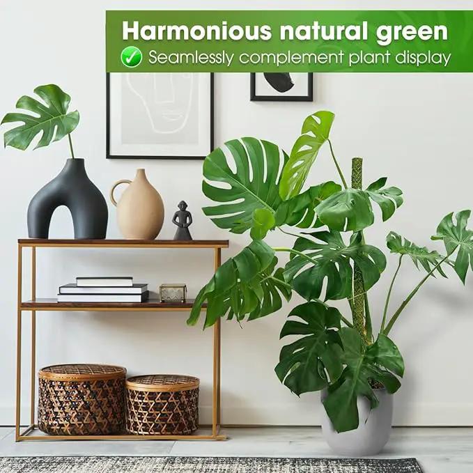 DUSPRO 42’’ Mesh Moss Pole for Plants, Tall Trellis for Climbing Monstera Plant Support, Sphagnum Moss Stick for Big Climbing Indoor Plant, Handmade Plant Stakes for Houseplant by GreenHaven Gardens