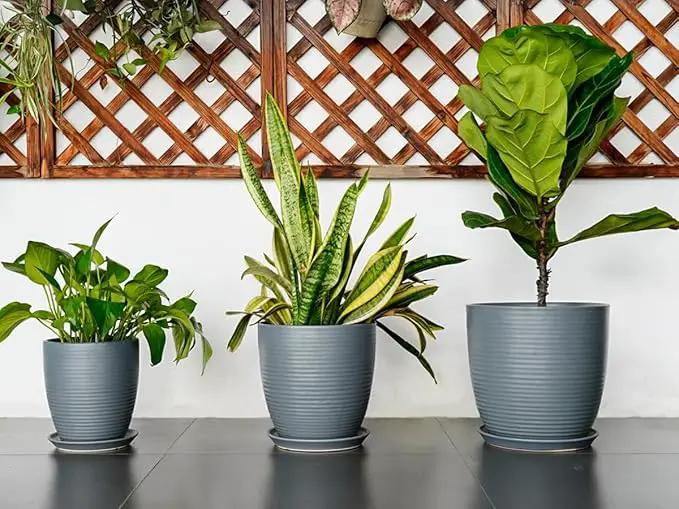 12 Inch Pots for Plants Ceramic Planter Pot Large Flower Pot with Drainage Hole and Saucer for Home Patio Garden Office Indoor Outdoor Gray by GreenHaven Gardens