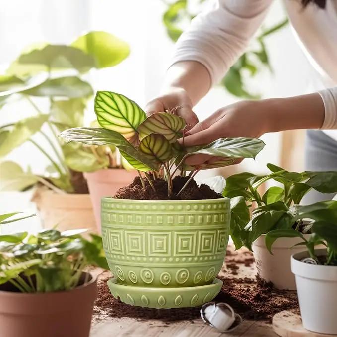 G EPGardening Ceramic Pots for Plants - 5.5 Inch Round Ceramic Planter for Indoor, Boho Succulent Pot with Drainage Hole and Plant Saucer, Gift for Plant Lover, Garden Home Desk Decor, Green by GreenHaven Gardens
