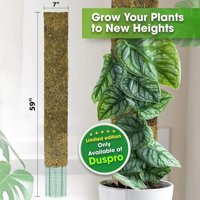 DUSPRO 59’’ Flat Mesh Moss Poles for Climbing Plants Monstera Flat Stacks for Tall Plant with Real Moss Moss Pole for Indoor Plants Plant Stick Support Tall Indoor Plants Support Stakes (1pc., 59'') by GreenHaven Gardens