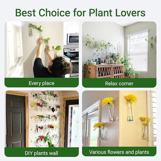 Ivolador Wall Plant Propagation Station Hanging Glass Planter Vase Terrarium Container Cylinder Shape Perfect for Propagating Hydroponic Plants Home Office Garden Decor Wedding-4PCS by GreenHaven Gardens