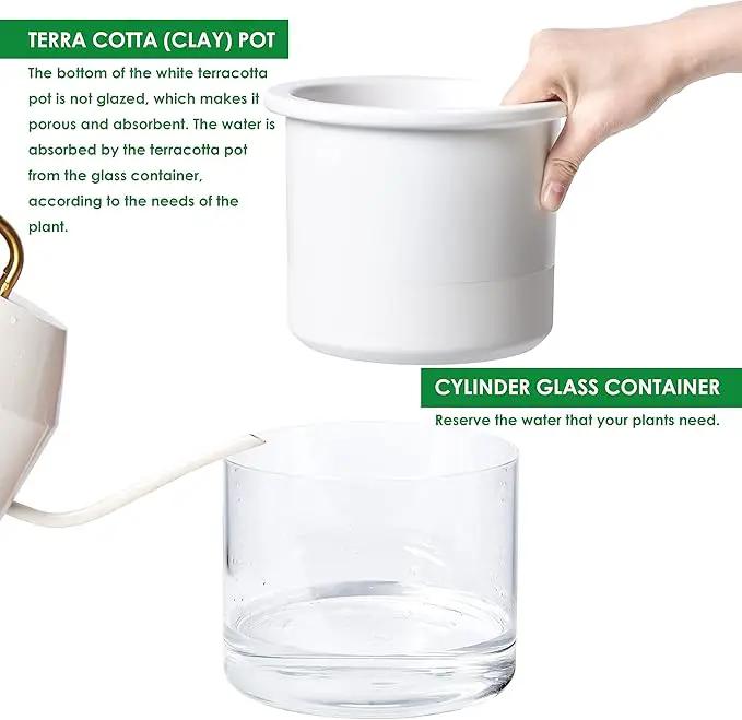 Phoenix Vine 6 Inch Self Watering Planter Pot, Design White Terracotta Pot for Plants, Indoor Cylinder Terra Cotta Pot with Glass Vase, Set of 1, 51-B-F-1 by GreenHaven Gardens