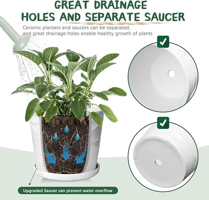 8 Inch Plant Pot, Ceramic Planter with Drainage and Saucer, Ceramic Pots for Plants, Indoor Plant pots,Succulent Orchid Flower Pot(Pure White) by GreenHaven Gardens