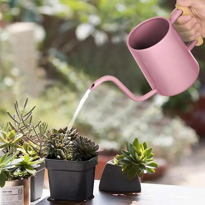 Watering Can Indoor Plants, 35 oz/1000 ml Metal Stainless Steel Watering Can Pot with Long Spout for Indoor House Plants Bonsai Outdoor Garden Flower Decorative (Pink) by GreenHaven Gardens