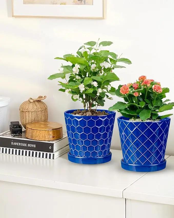 EFISPSS 6 Inch Pots for Indoor Plants,Ceramic Plant Pots,Planters with Drainage Hole and Saucer, Flower Pots Desktop Office Windowsill Decoration Gift Set of 2 - Sapphire Blue by GreenHaven Gardens