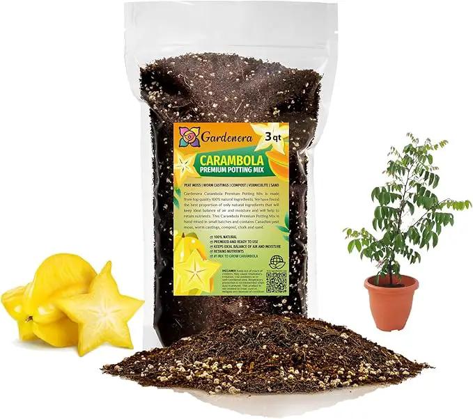 Premium Carambola Potting Soil Mix - Perfect Balance of Nutrients, Drainage, and Aeration for Thriving Starfruit Trees - 3 Quart by GreenHaven Gardens