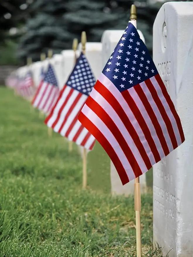 Pack of 100 American Flags with wood Stick, 12x18 Inch American Flags for outside, US Flags/American Hand Held Stick Flags with Kid-Safe Spear Top, Perfect for Patriotic Decorations, Parades, Veteran Party,4th of July decorations by GreenHaven Gardens