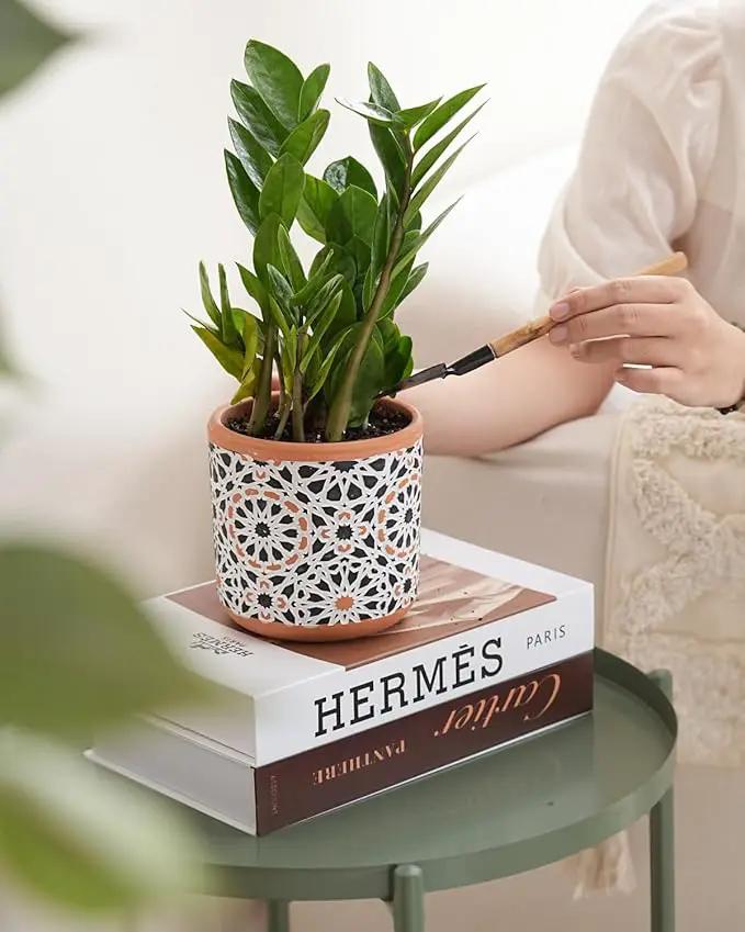 Ceramic Flower Pots for Indoor Plants Set of 2, 5 Inch Boho Plant Pot with Drainage Holes,Modern Planter for Decora Succulents/Snake Plant/Orchid/Peace Lily/House Plants,Terracotta by GreenHaven Gardens