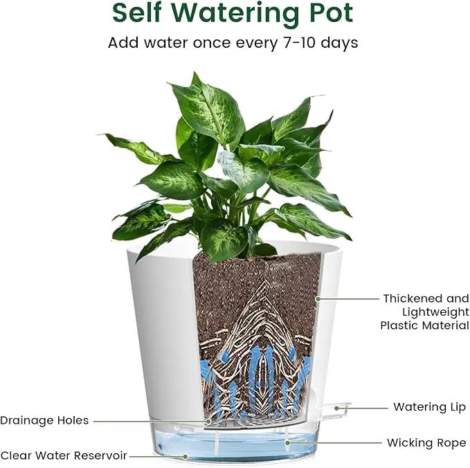 6 inch Self Watering Pots for Indoor Outdoor Plants, 3 Pack Flower Plant Pots with Drainage Holes and Clear Reservoirs, Visible Water Level, Plastic Planters with Wicking Rope, White by GreenHaven Gardens