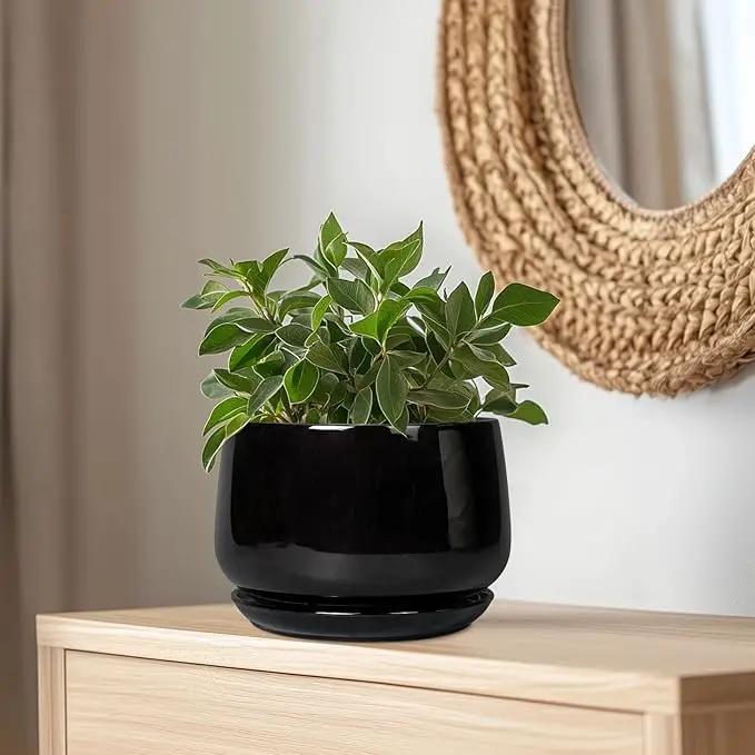 G EPGardening Ceramic Plant Pots - 9 Inch Round Planter, Ceramic Pots for Plants with Drainage and Tray, Flower Indoor Outdoor Planter, Modern Desk Decor, Plant Lover Gifts, Black by GreenHaven Gardens