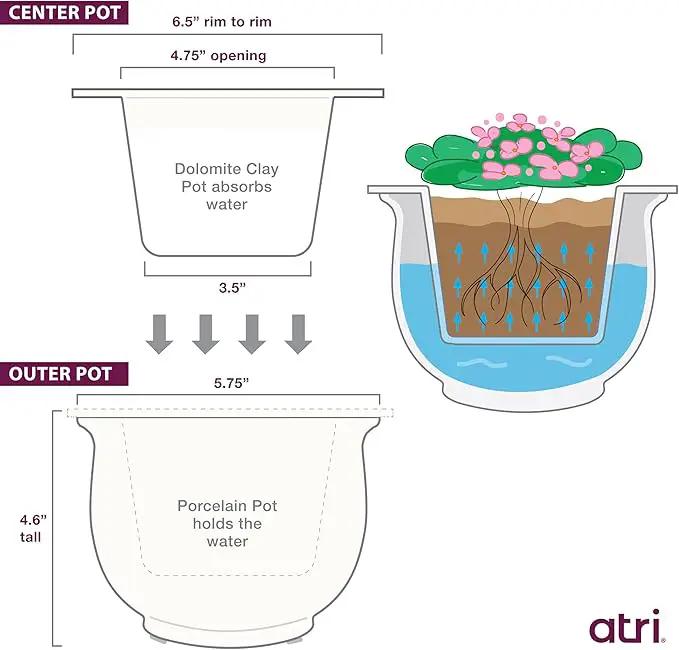 African Violet Pots Ceramic 6.5”W x 4.6”H Self Watering Planter for Indoor Flowers and Plants – White Glazed Outer Plant Pot with Highly Absorbent Inner Planter Pot for Tropical Plants by GreenHaven Gardens