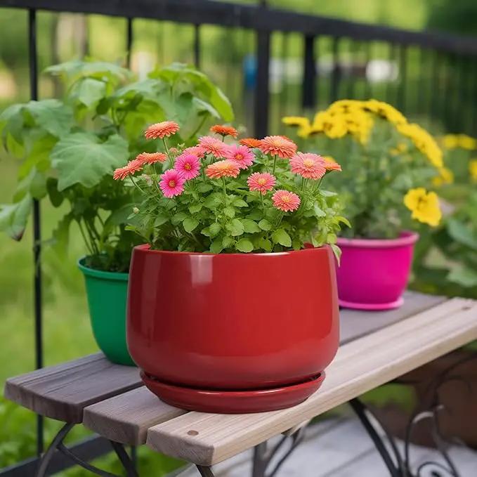 G EPGardening Ceramic Plant Pots - 9 Inch Flower pots for Indoor Outdoor Plant, Round Planter with Drainage and Saucer, Modern Home Decor, Gift for Women Men, Red by GreenHaven Gardens