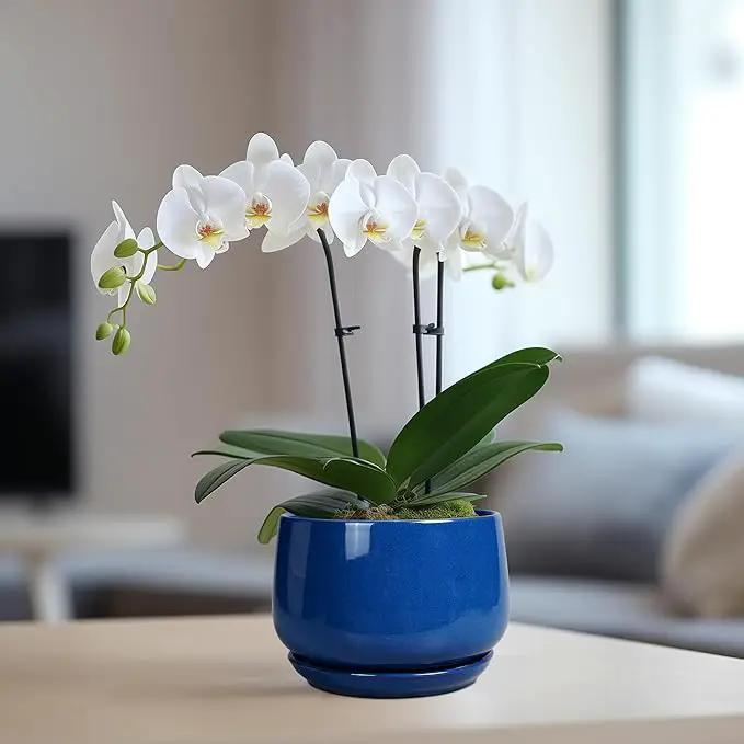G EPGardening 6 Inch Plant Pot - Round Ceramic Planter Indoor with Drainage and Ceramic Saucer for Flower, Modern Desk Decor, Modern Garden Gift, Blue by GreenHaven Gardens