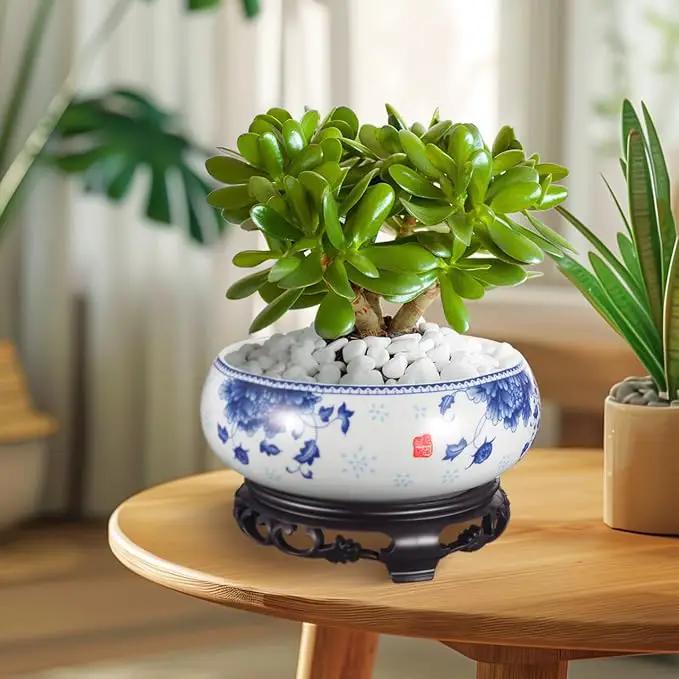 Ceramic Chinese Pot White Water Lily Bowl Ceramic Plant Pot Hydroponic for Garden Home Office-8Inch by GreenHaven Gardens
