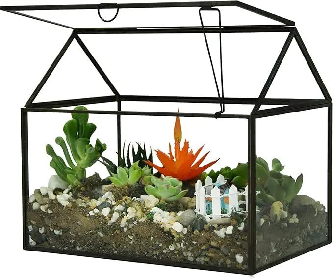 Black 1 Large Glass Plant Terrarium Kit with Lip Greenhouse for Succulents by GreenHaven Gardens
