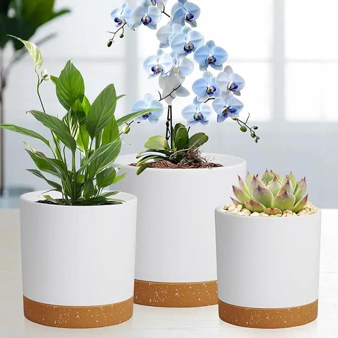 5 Pack Cylindrical Flower Pots with 7/6.5/6/5/4 inch, Modern Small Plastic Plant Pots with Drainage Holes & Saucers, Round Planter Pots for Outdoor, Indoor & Office Decor (White Brown) by GreenHaven Gardens