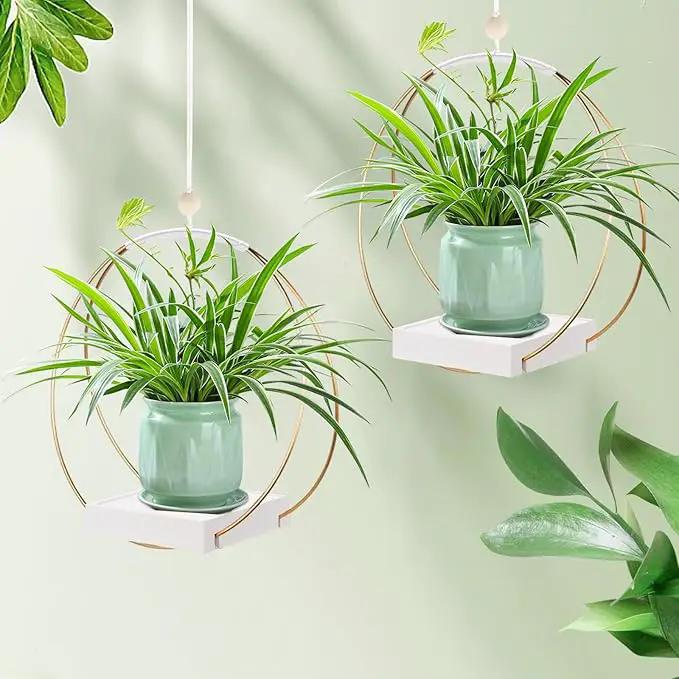 2 Pack Hanging Planter Holder for Indoor Plants, Plant Hanger with Sturdy Wood Base,Modern Boho Macrame Wall Ceiling Window Stands(Plants/Pots Not Included) by GreenHaven Gardens