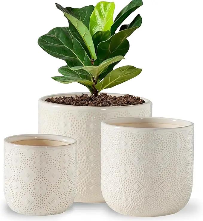Docrin Ceramic Plant Pots Indoor：6.5+5.3+4 Inch Planters with Drainage Holes for Home /Office - Set of 3 / White by GreenHaven Gardens