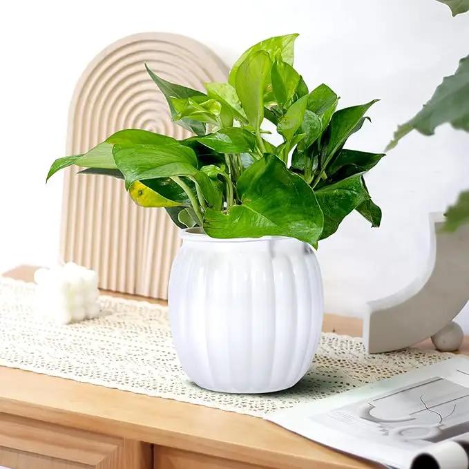 Small Hanging Planters Self Watering 5 Inch, 3 Set Hanging Plant Pot for Indoor Outdoor Plants, Hanging Flower Pots with Drainage Hole & 2 Kinds of Plant Hangers for Garden Home Decor by GreenHaven Gardens