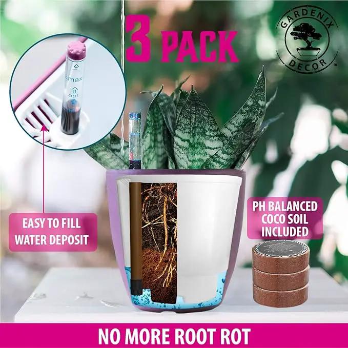 GARDENIX DECOR Self Watering Pots for Indoor Plants 3 Pack - Flower Pot with Water Level Indicator for Plants, Grow Tracking Tool - Self Watering Planter Plant Pot - Coco Coir - Purple by GreenHaven Gardens