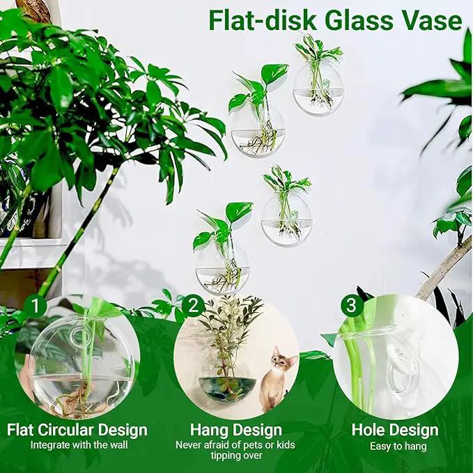 Ivolador Wall Hanging Planter Propagation Station Glass Flower Vase for Hydroponics Plants, Home Office Living Room Decor Gift, Set of 4 by GreenHaven Gardens