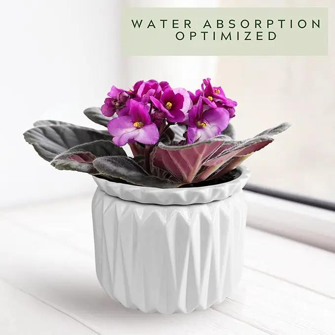 6 inch Self Watering Pot for Indoor Plants, African Violet Pot Ceramic, Flowers Planter (4 inch Opening), Holds 3 Weeks of Water (1 Pack) by GreenHaven Gardens